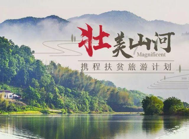 夏天常见的咬人虫子大全游戏画面