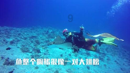 古墓丽影：崛起